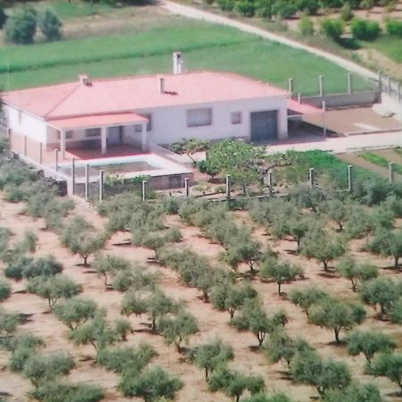 Vila Triana I Lea- Loft Rural Sant Carlos de la Ràpita Kültér fotó